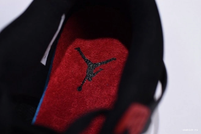 Rep Onekick Retro Air AQ3816-065 NRG Jordan Raptors